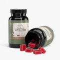 Cordyceps Energy Gummies | STAHlin RADIANCE