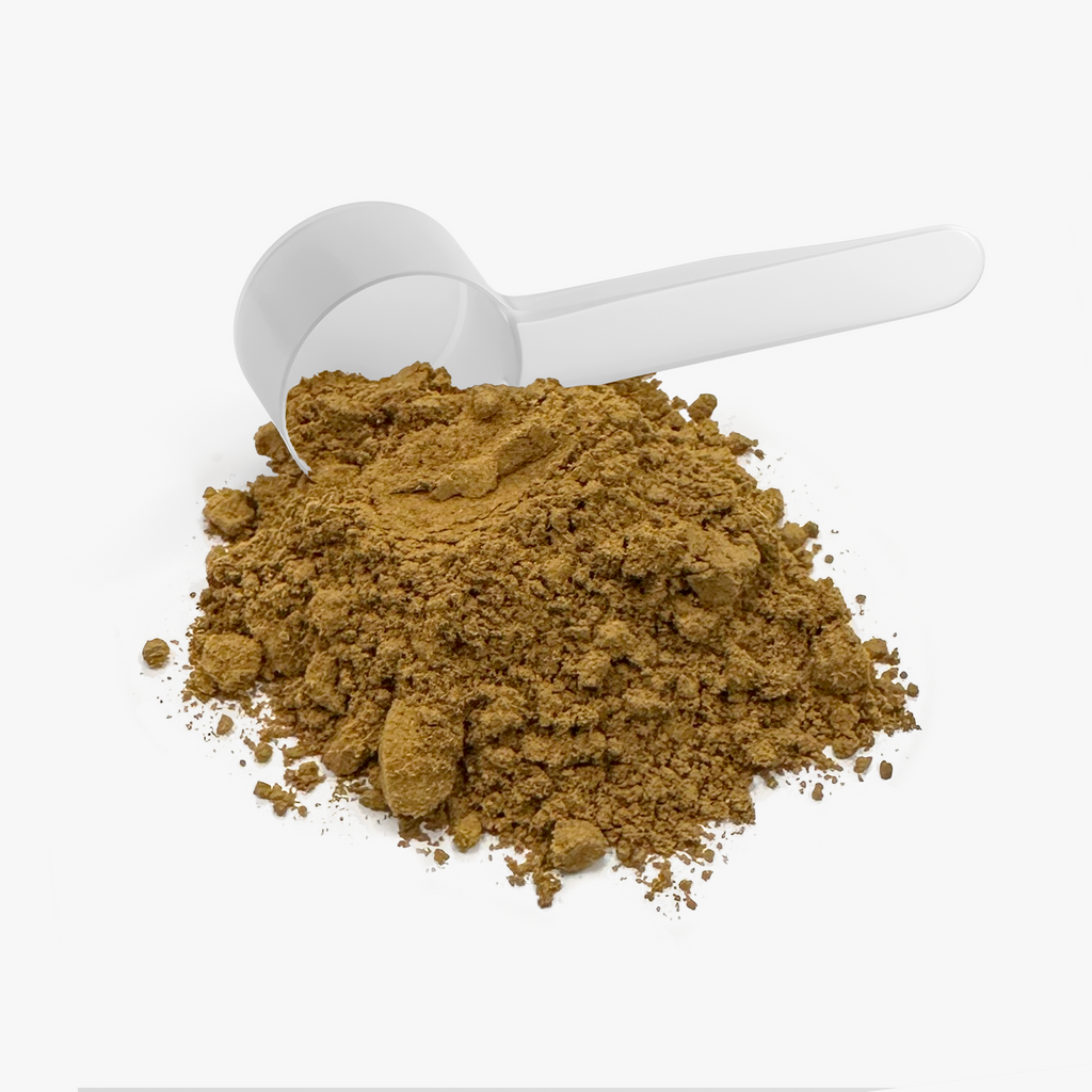 Mushroom Fuse Instant Coffee (Medium Roast) | STAHlin RADIANCE