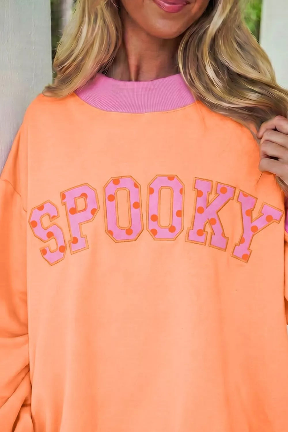Colorblock Trim Crewneck Long Sleeve Sweatshirt | STAHlin RADIANCE