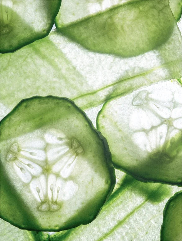 Microbiome Prebiotics Face Mist | STAHlin RADIANCE